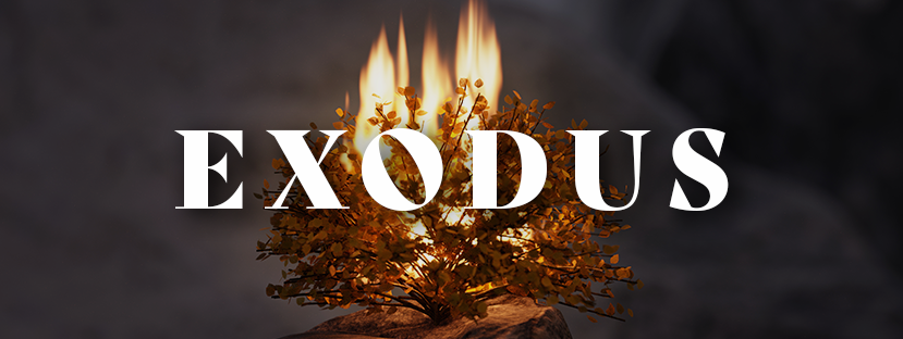 Exodus Bible Study
