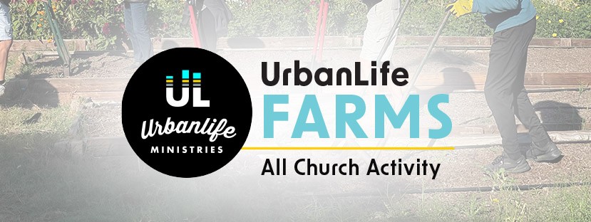 urbanlife farm work day